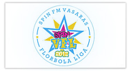 VFL 2013
